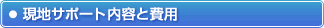 ���e�Ɣ�p